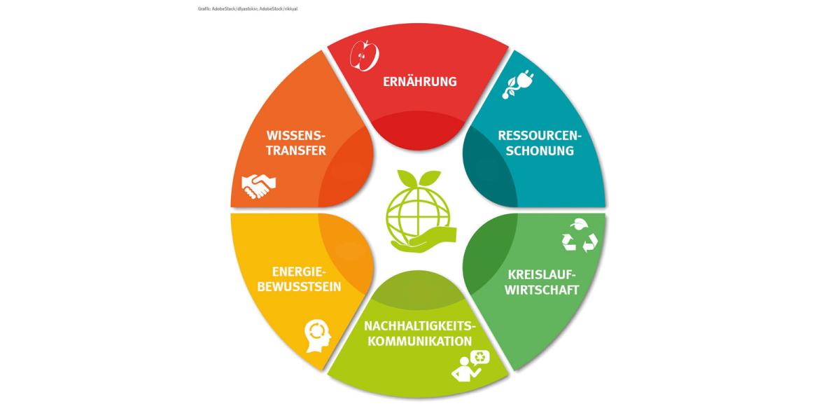 Inhalte des Klima-Coaching-Programms