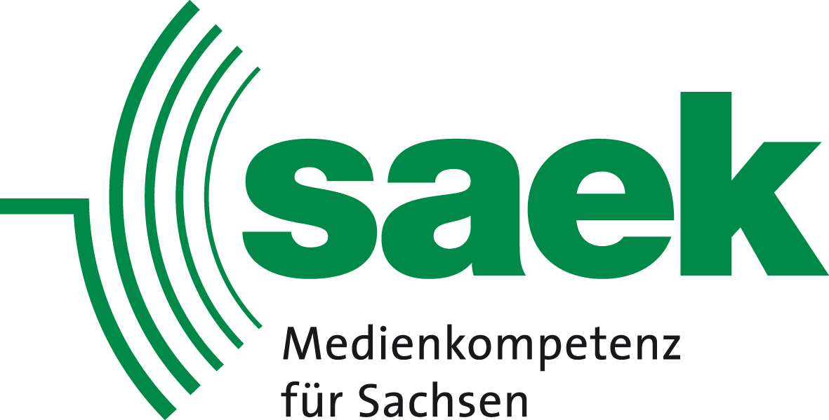 SAEK Logo