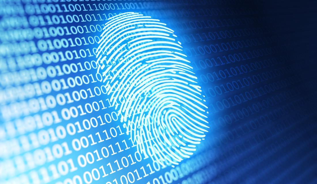 Fingerabdruck im Netz