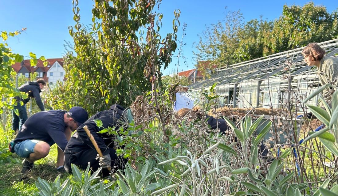 KlimalotsInnen Dresden: Workshop Urban Gardening