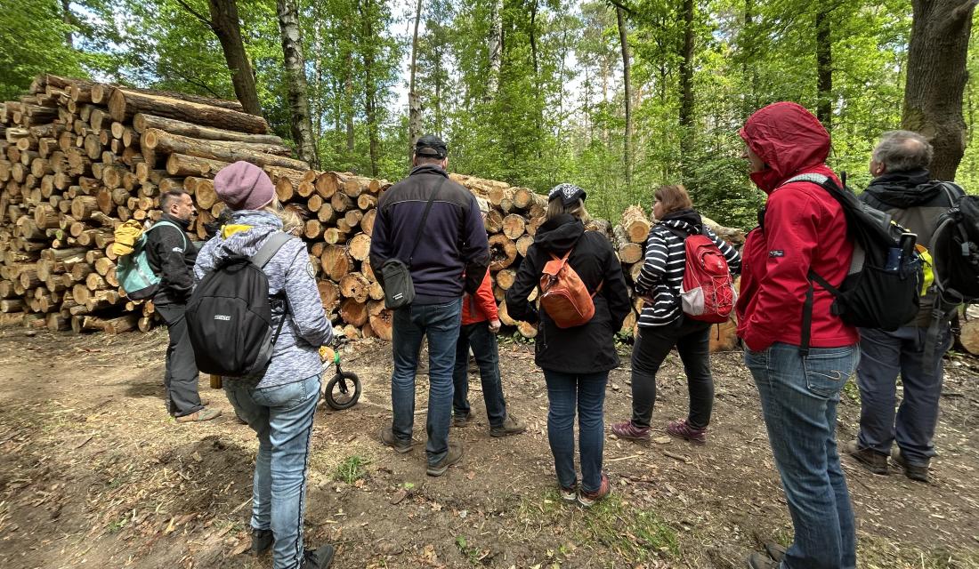 Baumpflanzaktion im Landkreis Meißen