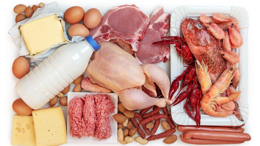 Lebensmittel mit Proteingehalt zusammengelegt: Fleisch, Käse, Milch und Eier