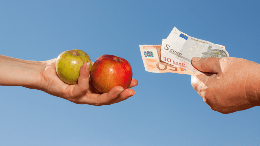 Die Nahaufnahme zeigt zwei Hände. Eine davon hält zwei Äpfel, die andere einige Euro-Geldscheine.