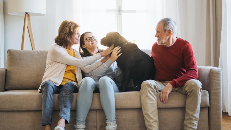 Eltern sitzen mit Teenietochter und Hund auf dem Sofa