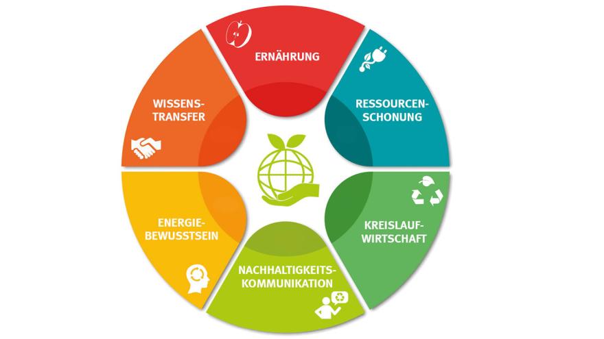 Inhalte des Klima-Coaching-Programms als Kreis mit 6 Teilen