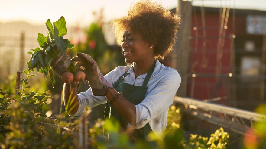 Frau arbeit in Urban Gardening Projekt