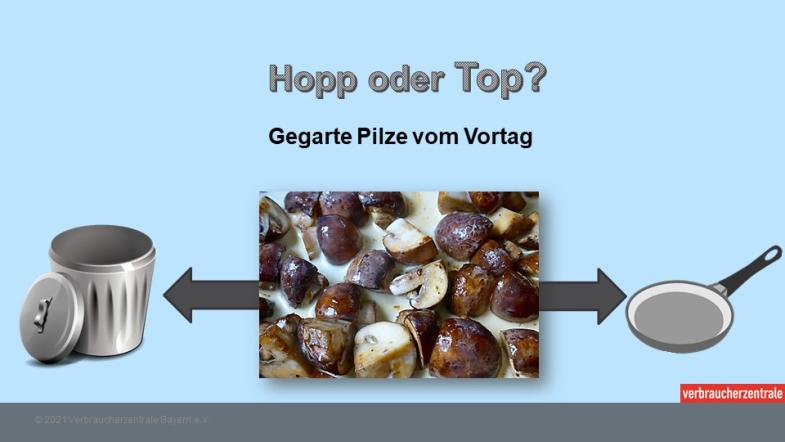 Pilze vom Vortag