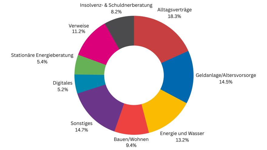 Worum ging es 2024? Themen und Anliegen in der Beratung
