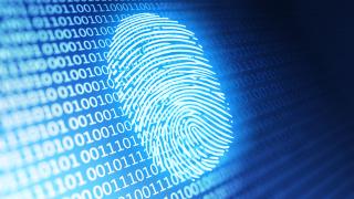 Fingerabdruck im Netz