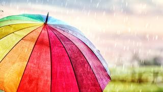 Einen Regentag im Herbst