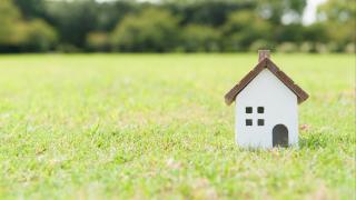 Kleines Haus steht auf Wiese